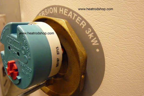 immersion heater with stat