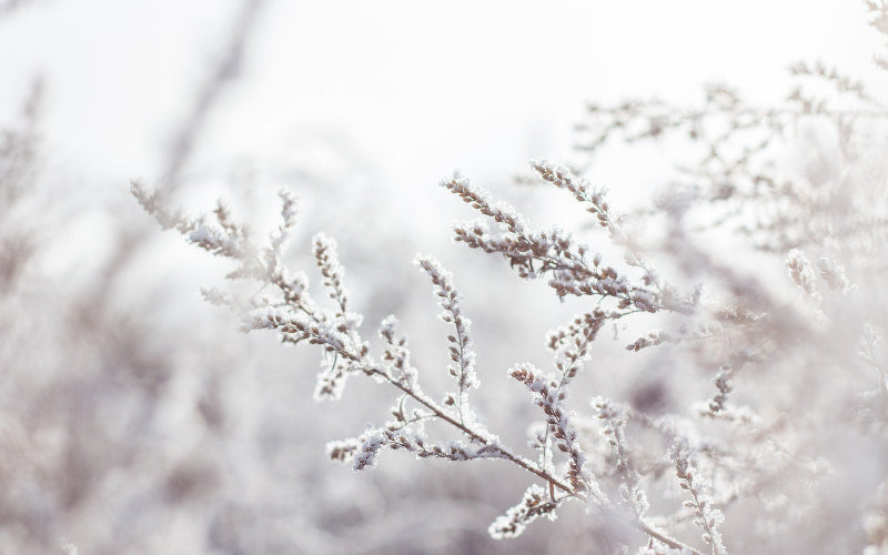 Commercial Hot Water System Pre-Winter Checklist