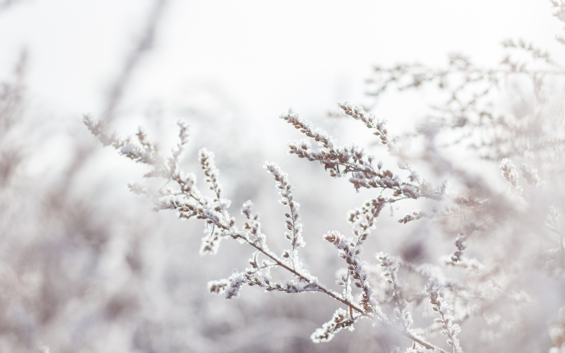 Commercial Hot Water System Pre-Winter Checklist
